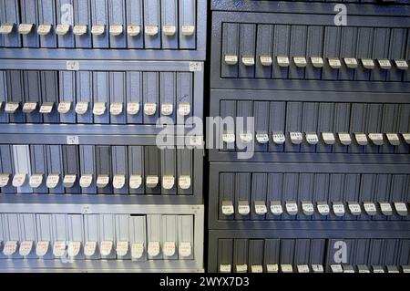 Probenaufzeichnung, pathologische Anatomie. Krankenhaus Universitario Gran Canaria Arzt Negrin, Las Palmas de Gran Canaria. Kanarische Inseln, Spanien. Stockfoto