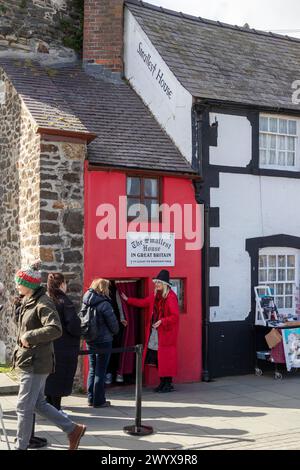 Leute, kleinstes Haus in Großbritannien, Conwy, Wales, Großbritannien Stockfoto