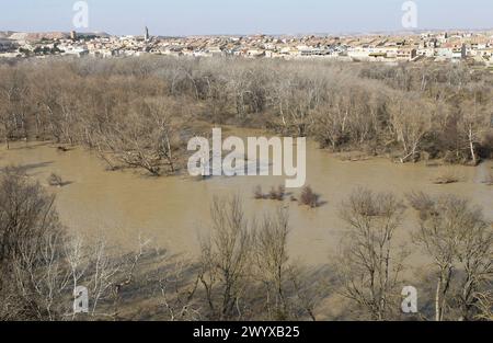 Überschwemmungen am Ebro-Fluss. Februar 2003. Sástago, Provinz Saragossa. Spanien. Stockfoto