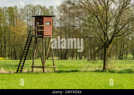 Hochstand für Jäger auf der Wiese Stockfoto