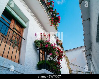 Balkon mit Blumentöpfen. Capileira, Las Alpujarras, Granada, Andalucía, Spanien, Europa Stockfoto