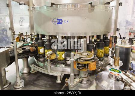 Etikettierung und Verpackung von Gemüse aus Konserven, grüne Bohnen, Konservenindustrie, Agrar- und Lebensmittelindustrie, Logistikzentrum, Grupo Riberebro, Alfaro, La Rioja, Spanien. Stockfoto