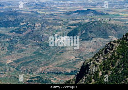 Olivenhaine. Naturpark Sierra Magina, Huelma, Jaén, Andalucía, Spanien, Europa Stockfoto