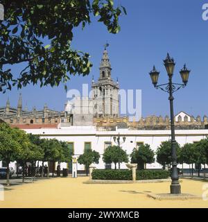 Patio de Banderas, Giralda-Turm im Hintergrund. Reales Alcazares. Sevilla. Spanien. Stockfoto