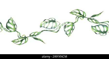 Tropische Palmblätter, Monstera, Liana, Affenmaske hell saftig grün. Handgezeichnete botanische Illustration mit Aquarell. Nahtloses Muster, isolierter Rand Stockfoto