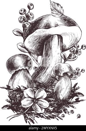 Pilze Waldboletus mit Gras, Heidelbeeren, Moos und Kegel. Grafische Abbildung, handgezeichnet mit schwarzer Tinte. Vorgefertigte Komposition EPS-Vektor. Stock Vektor