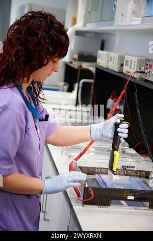 Mehrkanalpipette, Agarosegel-Elektrophorese, neurowissenschaftliches Labor, Forschung in neuromuskulären Erkrankungen, neurodegenerativen Erkrankungen, parkinson, Demenz und Multiple Sklerose, Biodonostia Health and Biomedicine Research Institute, San Sebastian, Donostia, Gipuzkoa, Euskadi, Spanien. Stockfoto