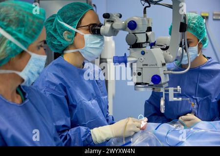 Chirurgische Intervention der Augen, Katarakt, Operationssaal der Augenheilkunde, Krankenhaus Donostia, San Sebastian, Gipuzkoa, Baskenland, Spanien. Stockfoto