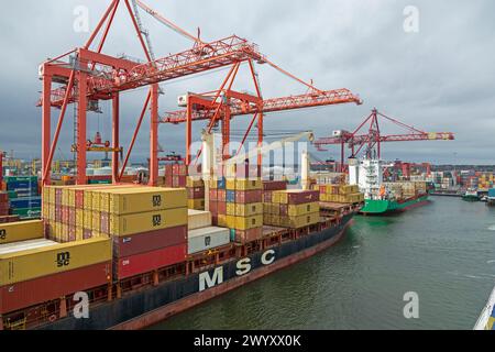 Containerschiffe, Portainer, Hafen, Dublin, Republik Irland Stockfoto