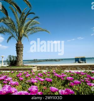 Strand, Santiago de la Ribera, Mar Menor, Provinz Murcia, Spanien. Stockfoto