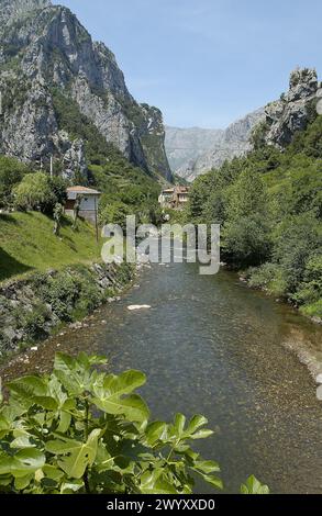 Desfiladero de la Hermida, Schlucht des Flusses Deva. Kantabrien. Spanien. Stockfoto