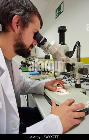 Lupe. Analyse der Fehlerursachen von Komponenten und Systemen. Technologische Dienstleistungen für die Industrie. Tecnalia Research & Innovation, Donostia, San Sebastian, Gipuzkoa, Baskenland, Spanien. Stockfoto