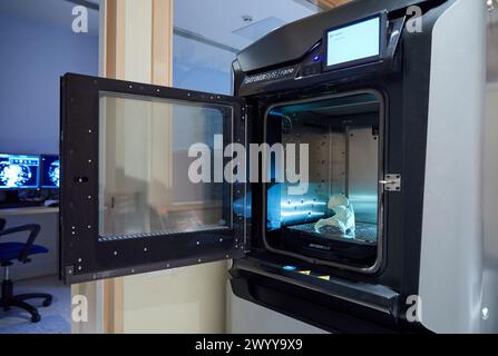 3D-Eindruck der Hüfte eines Patienten von einem medizinischen Bild, 3D-Drucker, Additive Technologien PolyJet oder FDM für Rapid Prototyping, Radiologie, Krankenhaus Donostia, San Sebastian, Gipuzkoa, Baskenland, Spanien. Stockfoto