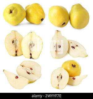 Frische reife Quittenfrüchte isoliert auf weiß, Set Stockfoto