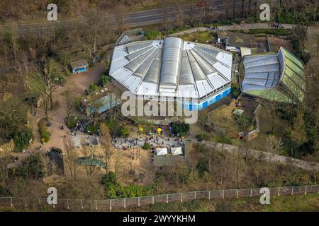 Vogelperspektive, Delfinarium Zoo Duisburg, Besucher, Duissern, Duisburg, Ruhrgebiet, Nordrhein-Westfalen, Deutschland, Duisburg-S Stockfoto