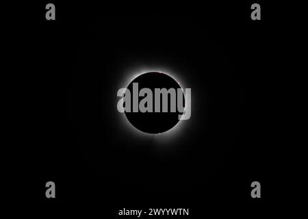 Plano, USA. April 2024. Eine totale Sonnenfinsternis ist in Plano, Texas, USA, am 8. April 2024 zu sehen. Eine totale Sonnenfinsternis zog am Montag durch Nordamerika, als sich Bewohner und Besucher an verschiedenen Orten auf dem Weg der Sonnenfinsternis versammelten, um zu beobachten und zu jubeln. Die totale Sonnenfinsternis – auch als Great American Eclipse bezeichnet – war am Himmel über Teilen Mexikos, 15 US-bundesstaaten und Ostkanadas zu sehen. Quelle: Dan Tian/Xinhua/Alamy Live News Stockfoto