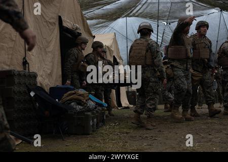 US-Marines und Seeleute mit dem 1. Medizinischen Bataillon, 1. Marine Logistics Group, üben Massenverletzte-Szenarien während einer Marinekorps Combat Readiness Evaluation in Camp Pendleton, Kalifornien, 29. Februar 2024. Die MCCRE ist eine Bewertung der Fähigkeit einer Einheit, ihre zugewiesenen Aufgaben zu erfüllen, und der Fähigkeit der Marines und Seeleute, die Kampfanforderungen zu erfüllen. (Foto des U.S. Marine Corps von Lance CPL. Hannah Hollerud) Stockfoto
