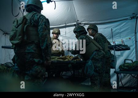 US-Marines und Seeleute mit dem 1. Medizinischen Bataillon, 1. Marine Logistics Group, stabilisieren den Zustand von Patienten während einer Marine Corps Combat Readiness Evaluation in Camp Pendleton, Kalifornien, 29. Februar 2024. Die MCCRE ist eine Bewertung der Fähigkeit einer Einheit, ihre zugewiesenen Aufgaben zu erfüllen, und der Fähigkeit der Marines und Seeleute, die Kampfanforderungen zu erfüllen. (Foto des U.S. Marine Corps von Lance CPL. Hannah Hollerud) Stockfoto