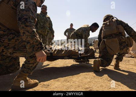 US-Marines und Seeleute mit dem 1. Medizinischen Bataillon, 1. Marine Logistics Group, bewegen fiktive Patienten, um ihren Zustand während einer Marinekorps Combat Readiness Evaluation in Camp Pendleton, Kalifornien, 28. Februar 2024 zu stabilisieren. Die MCCRE ist eine Bewertung der Fähigkeit einer Einheit, ihre zugewiesenen Aufgaben zu erfüllen, und der Fähigkeit der Marines und Seeleute, die Kampfanforderungen zu erfüllen. (Foto des U.S. Marine Corps von Lance CPL. Hannah Hollerud) Stockfoto