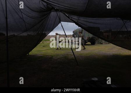 US-Marines und Seeleute mit dem 1. Medizinischen Bataillon, 1. Marine Logistics Group, üben Massenverletzte-Szenarien während einer Marinekorps Combat Readiness Evaluation in Camp Pendleton, Kalifornien, 29. Februar 2024. Die MCCRE ist eine Bewertung der Fähigkeit einer Einheit, ihre zugewiesenen Aufgaben zu erfüllen, und der Fähigkeit der Marines und Seeleute, die Kampfanforderungen zu erfüllen. (Foto des U.S. Marine Corps von Lance CPL. Hannah Hollerud) Stockfoto