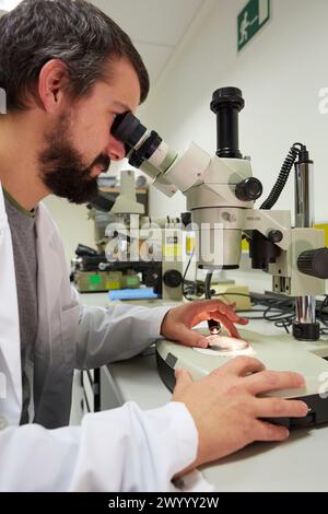 Lupe. Analyse der Fehlerursachen von Komponenten und Systemen. Technologische Dienstleistungen für die Industrie. Tecnalia Research & Innovation, Donostia, San Sebastian, Gipuzkoa, Baskenland, Spanien. Stockfoto