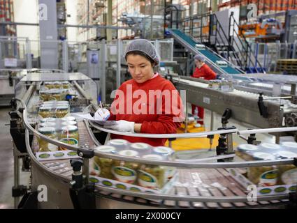 Etikettierung und Verpackung von Gemüse aus Konserven, grüne Bohnen, Konservenindustrie, Agrar- und Lebensmittelindustrie, Logistikzentrum, Grupo Riberebro, Alfaro, La Rioja, Spanien. Stockfoto