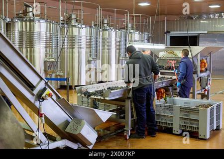 Weinauswahl, Weinkeller, Dinastia Vivanco Weingut, Briones, La Rioja, Spanien, Europa. Stockfoto