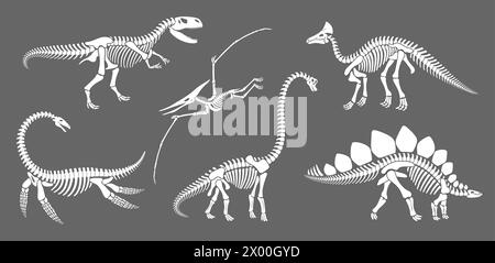 Dinosaurier-Skelett-Fossil, Dino-Reptilientier-Silhouetten. Vektor-Brachiosaurus, Stegosaurus, Olarotitan, Tyrannosaur oder trex, Elasmosaurus und Pterodactyl weiße alte Reptilienreste Konturen gesetzt Stock Vektor