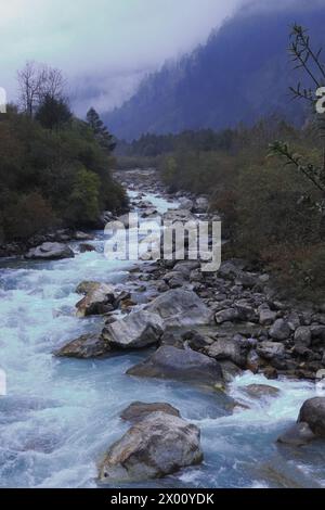 Gebirgsfluss Lachung Chu, der durch den Wald auf den Ausläufern des himalaya in der Nähe der Bergstation Lachung im Norden von sikkim, Nordosten indiens fließt Stockfoto