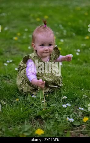 Ein kleines Mädchen hockt sich im Gras und pflückt Blumen Stockfoto