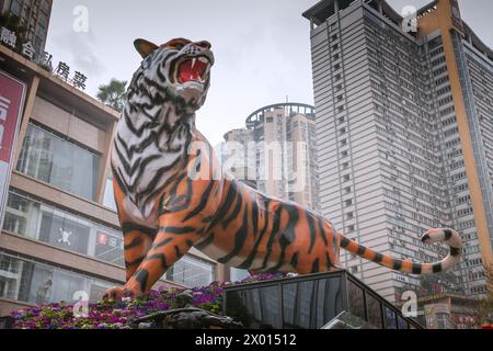 Chongqing, CHINA - 10. Mai 2021 : Tiger in der Jiefangbei Fußgängerzone Chongqing ein berühmtes Einkaufs- und Reiseziel in der Innenstadt i Stockfoto