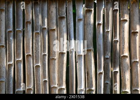 Alte braune Bambustextur für Hintergrund Stockfoto