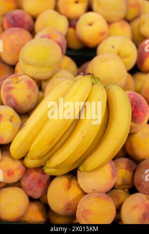 Zweig von gelben Reifen Bananen und Pfirsichen. Tropische Früchte zum Verkauf. Stockfoto