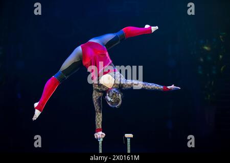 Ein Turner tritt in einer Show auf. Eine Turnerin führt eine Zirkusakrobatik auf. Stockfoto