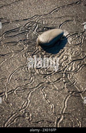 Closeup Texture of Rocks entlang der Küste am Ruby Beach im Olympic National Park, Washington State, USA Stockfoto