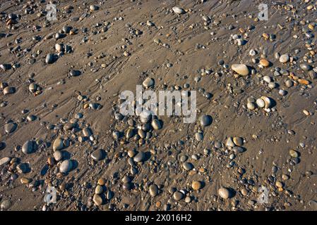 Closeup Texture of Rocks entlang der Küste am Ruby Beach im Olympic National Park, Washington State, USA Stockfoto