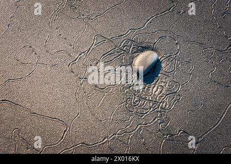 Closeup Texture of Rocks entlang der Küste am Ruby Beach im Olympic National Park, Washington State, USA Stockfoto