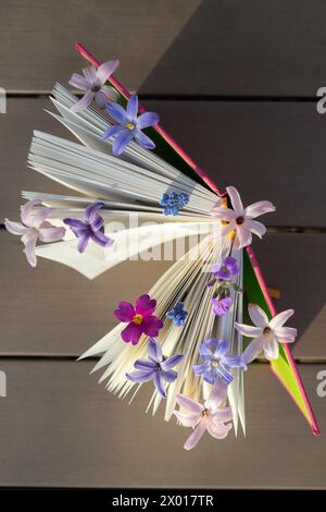 Ein offenes Buch und kleine Frühlingsblumen zwischen den Seiten. Lesen Sie das Buch mit Freude. Weisheit und Wissenskonzept, Draufsicht. Gemütliches Lesen, Bildung. Stockfoto