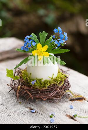 Handgemachte osterdekoration mit süßer gelber Holzanemone und Vergissmeinnots-Blumen in Eierschalenvase auf einem rustikalen Gartentisch. Stockfoto