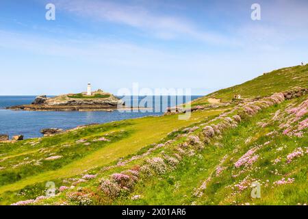 18. Mai 2023: Godrevy Head, Cornwall, Vereinigtes Königreich - Godrevy Head und Godrevy Lighthouse an einem sonnigen Frühlingstag und eine Fülle von blühenden Seegründen. Stockfoto