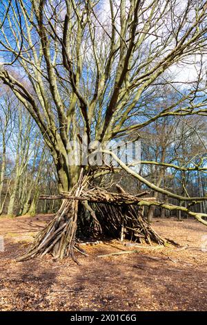 Überlebensunterkunft im Wald aus Ästen, Epping Forest, Essex, England Stockfoto