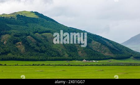 Grasfeld im Vordergrund mit majestätischer Bergkulisse rund um das Jurtenlager Kochmon Ordo Ethno Stockfoto