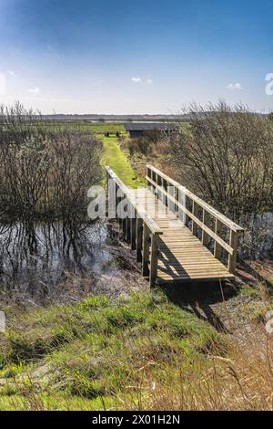 Fußgängerbrücke zu einem Unterschlupf in Skjern Wiadows, Dänemark Stockfoto