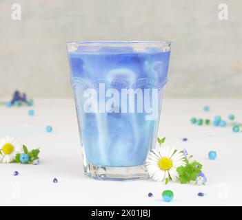 Blaues Getränk mit Milch – Butterfly Erbsen Tee, dekoriert mit Gänseblümchen und blauen Blumen. Stockfoto