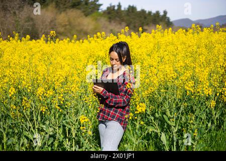 Agrotechnikerin in einem blühenden Brassica napus zur Bekämpfung von Schädlingen und Erntekrankheiten Stockfoto