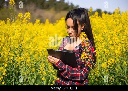 Agrotechnikerin in einem blühenden Brassica napus zur Bekämpfung von Schädlingen und Erntekrankheiten Stockfoto