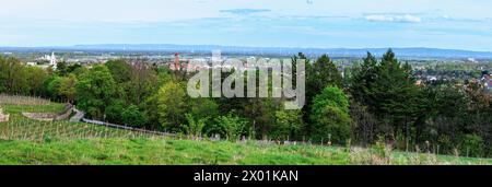 Blick von einem Weinberg über der Gemeinde Gainfarn nach Osten über das südliche Wiener Becken und von Bath Voeslau bis zum Moumtsins Leithagebirge Stockfoto