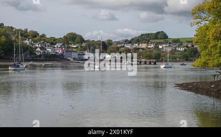 Yachten vertäuten entlang des River Dart vor dem Dorf Dittisham, Devon, England, Großbritannien, während einer Bootsfahrt vom Fluss Dart aus gesehen. Stockfoto