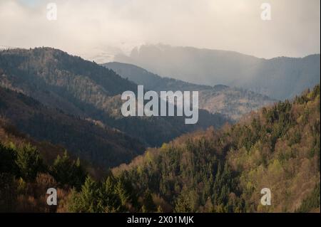 Landschaft in der Nähe von Nucsoara, Kreis Argeș, Muntenia, Rumänien Stockfoto