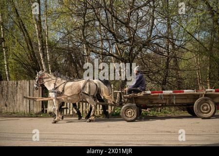 Nucsoara, Kreis Argeș, Muntenia, Rumänien Stockfoto